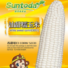 Online  pioneer frozen sweet white waxy corn maize seeds